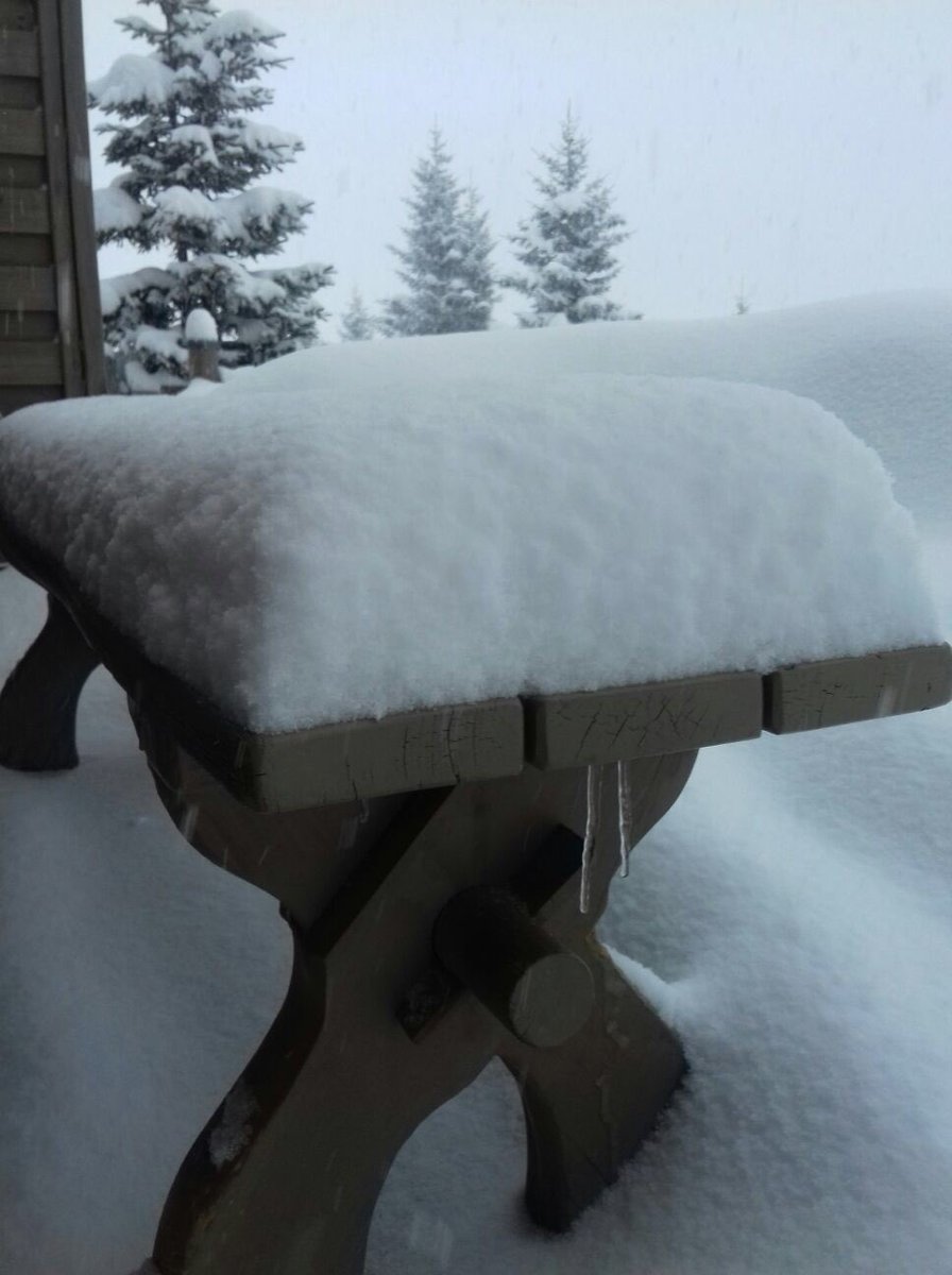 Zillertal Arena tweet media