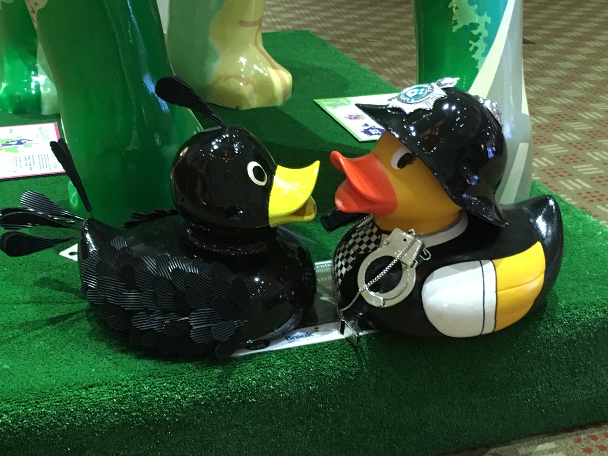 Mat the Rubber Duck tweet media