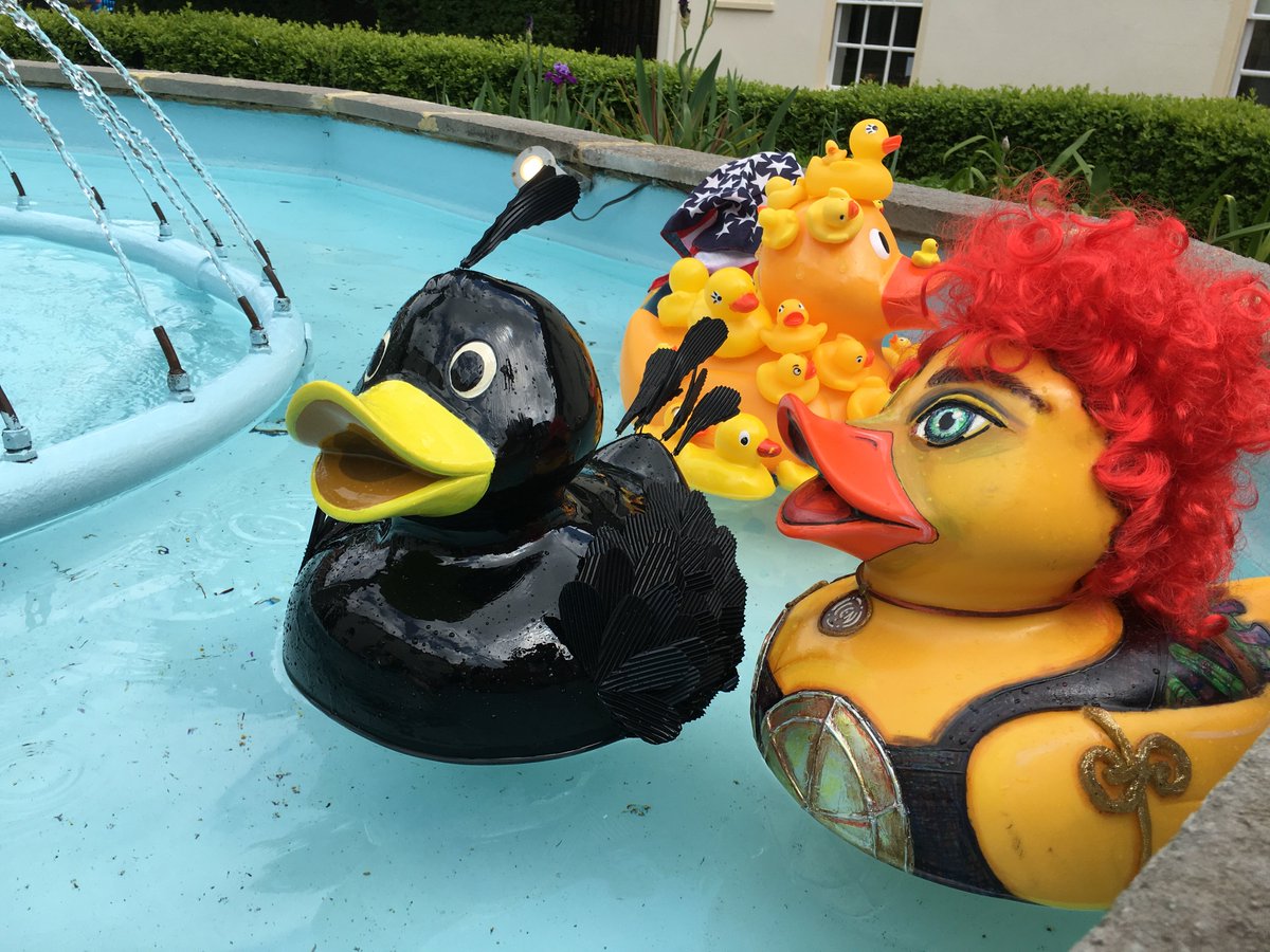 Mat the Rubber Duck tweet media