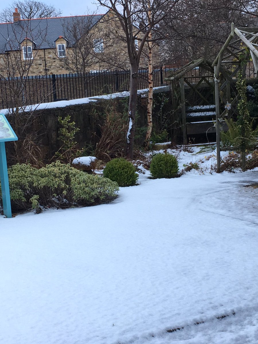 gateslibraries's tweet photo. #whickhamlibrary garden is looking pretty in the #snow #gateshead #nesnow @FriendsWhLibGdn #winter ❄️ https://t.co/0ZLHmzcRlV
