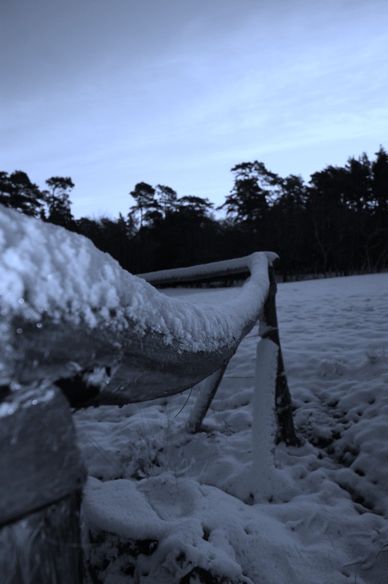 A cold, snowy day <a href="/BroadstoneW/">Broadstone Warren</a>  but our guests are always guaranteed a warm welcome.