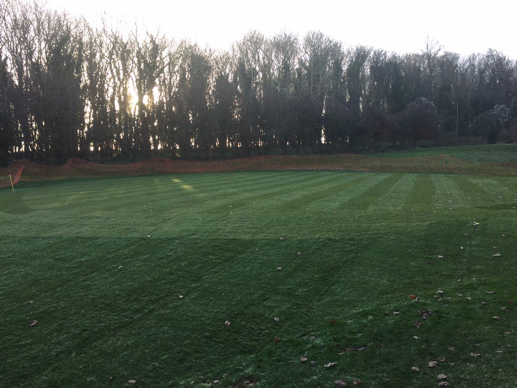 Turf all down looking great!