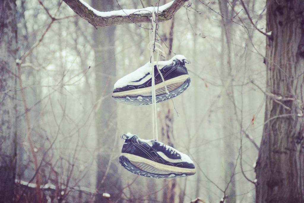 DeskCenterAG's tweet photo. #DeskCenterSolutions #walkthetalk #schnee #winter #january #software #softwarefollower #forest #tree #winteewonderl… https://t.co/EwsJBbcGVJ