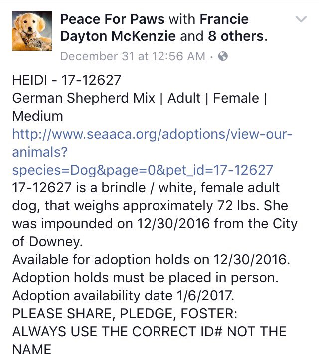 giselle1900's tweet photo. CODE RED🆘🆘WILL BE KILLED AT ANYTIME💔😭#Rescue #Foster #Adopt https://t.co/I1f6yeFZ7I #CA 
-@DogRescueTweets @ruthmen @Gdad1 @Stacey5899 https://t.co/6fgz0YI6e0