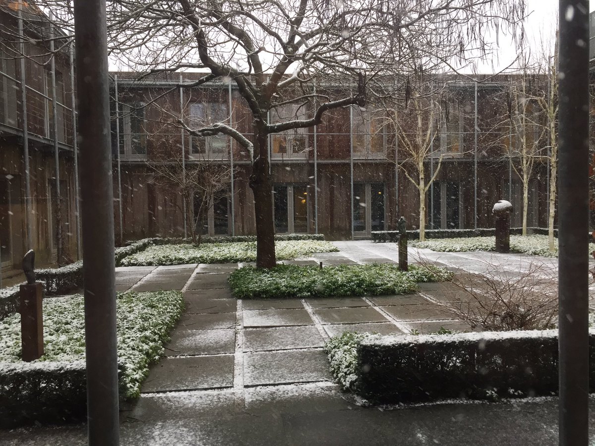 pvdbesselaar's tweet photo. Zeg nou zelf, in de winter is de patiotuin van @Bexcommunicatie óók mooi https://t.co/Qtr66qcBht