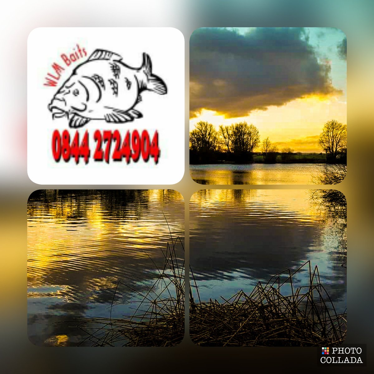 lindenwoodsman's tweet photo. #teamWLMbaits member at Nash Royston lakes @WLMBaits https://t.co/4HX6iTXKmu