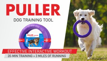 COLLAR_USA's tweet photo. #puller #dogpuller #collar_usa https://t.co/TnD8jd5LgQ