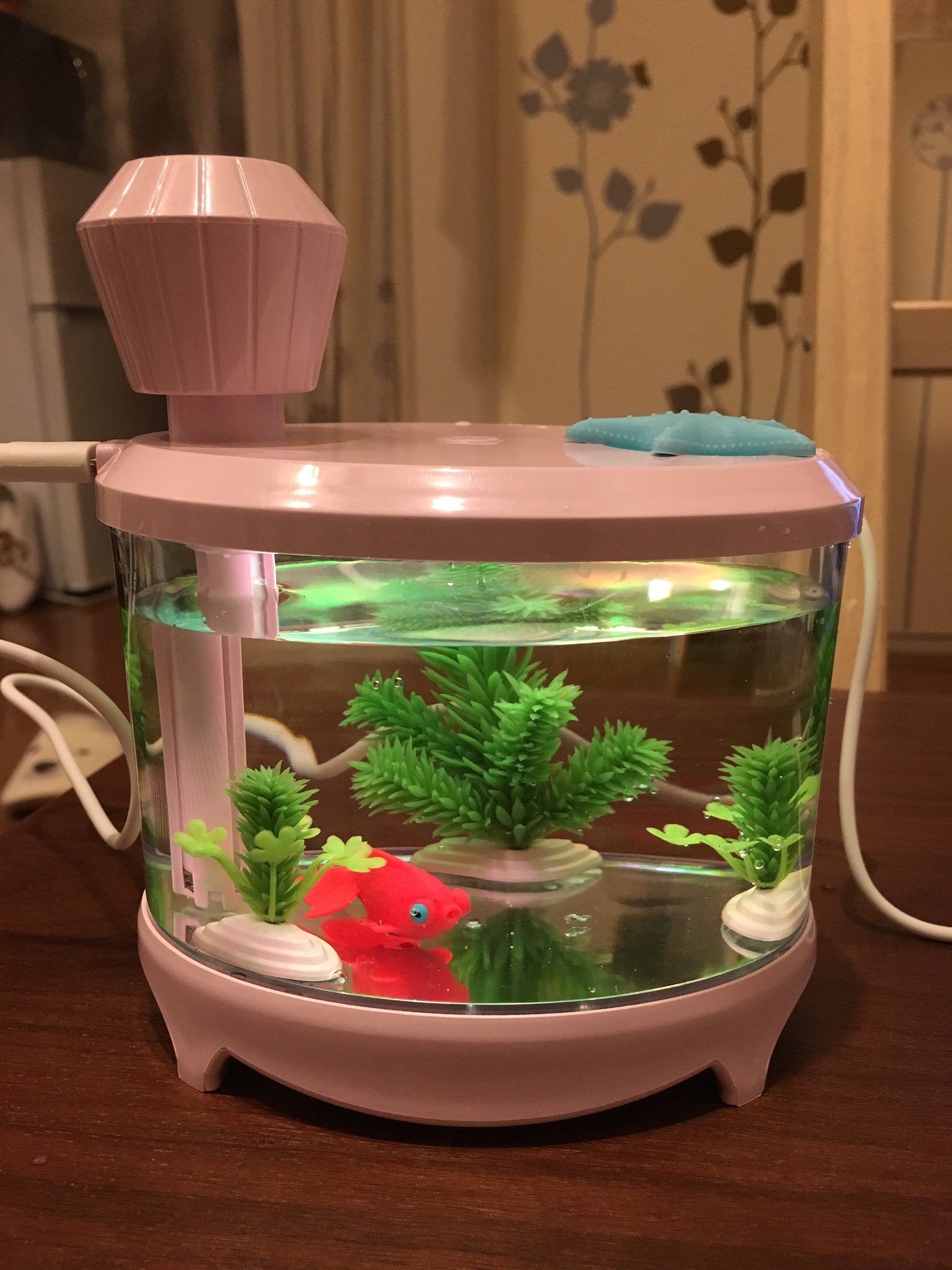 Miharu Al Twitter めっちゃ可愛い金魚水槽風加湿器めっけた U U T Co Jhestdnvak Twitter Miharu Al Twitter めっちゃ可愛い金魚水槽風加湿器めっけた U U T Co Jhestdnvak Twitter