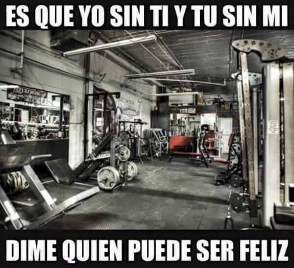 Mundo Fitness (@mundosfitness) on Twitter photo 