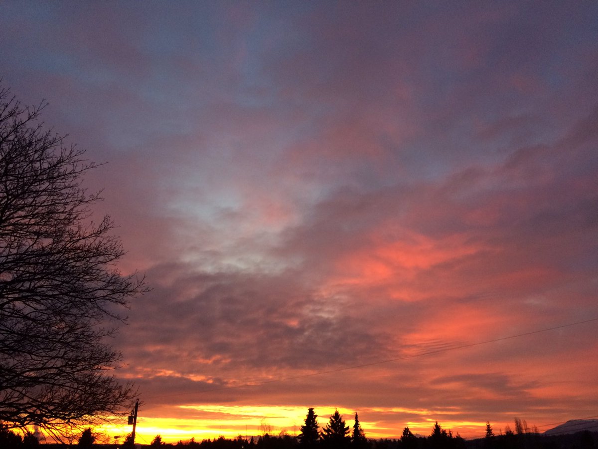 NanaimoBarr's tweet photo. Good morning Friday #Nanaimo #explorenanaimo #explorebc https://t.co/BekXR5mHr8