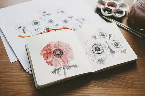 blackbluebubble's tweet photo. 🌹🌸. https://t.co/7n4ScIolUr