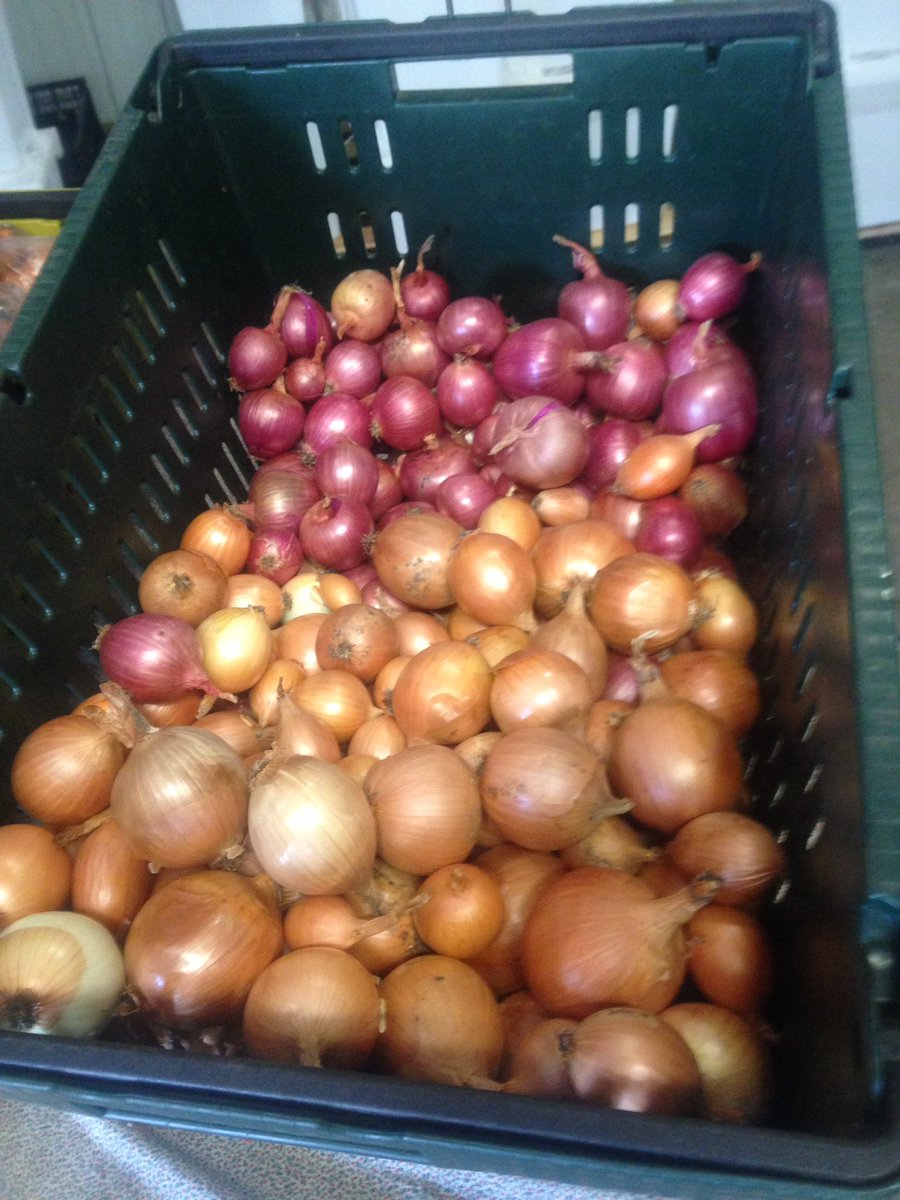 Boundless Roots Farm tweet media