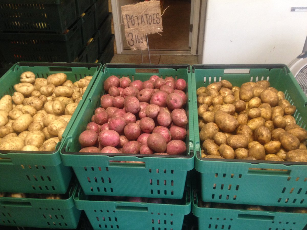 Boundless Roots Farm tweet media