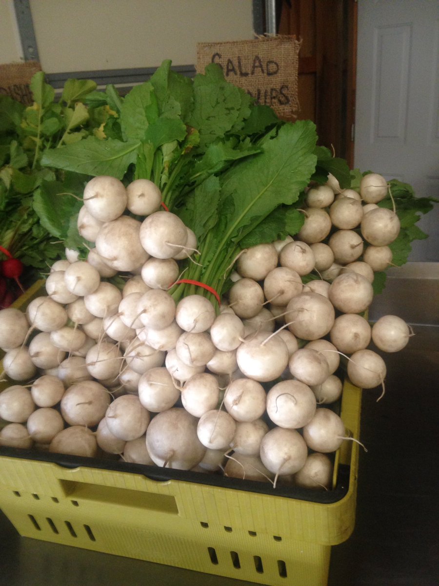 Boundless Roots Farm tweet media