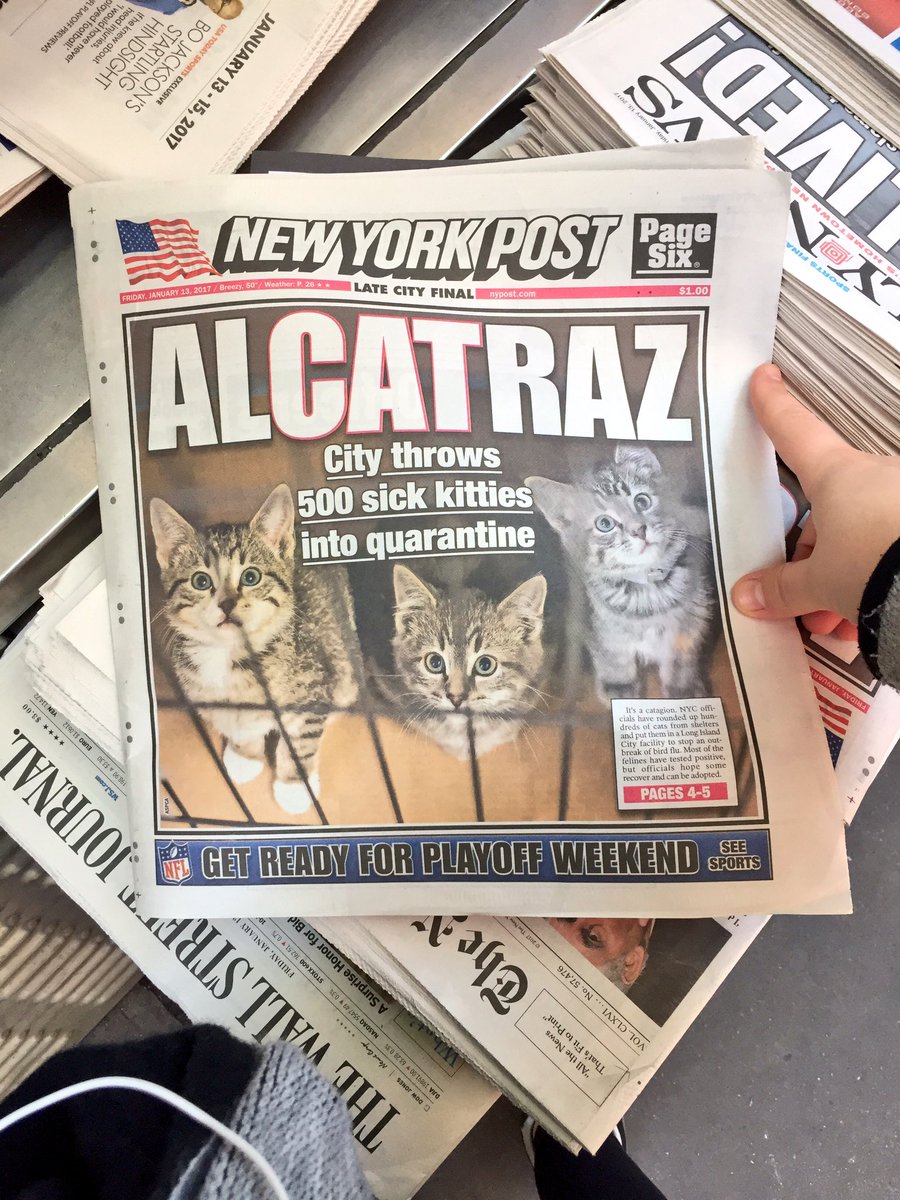 gabriela barkho tweet media