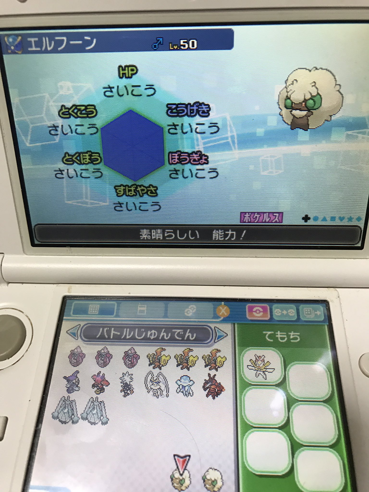 天夜くん 約束通り アンケート3回の結果１位になったエルフーンを2名に配布します A05vエルフーン 6vエルフーン 理想になってます 努力値hb252s6 持ち物はrt数で決めます 応募方法は Rt Amp フォロー 締切は1月下旬 ポケモン配布 6v