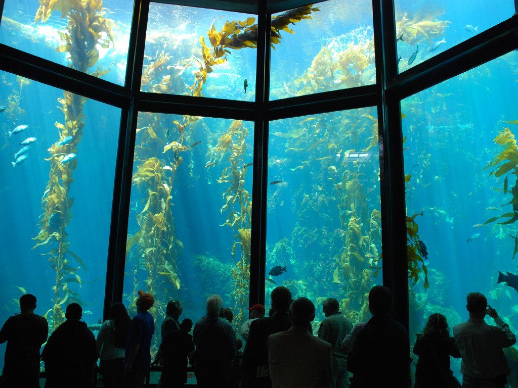 BioDivUs's tweet photo. Zoos and Aquariums are Good: They help raise awareness about biodiversity loss https://t.co/gLdESp4qoB https://t.co/hj0GQGWIWu