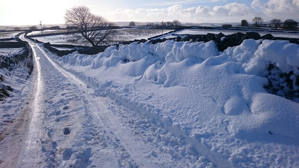 Today, Conjoint Lane, Litton