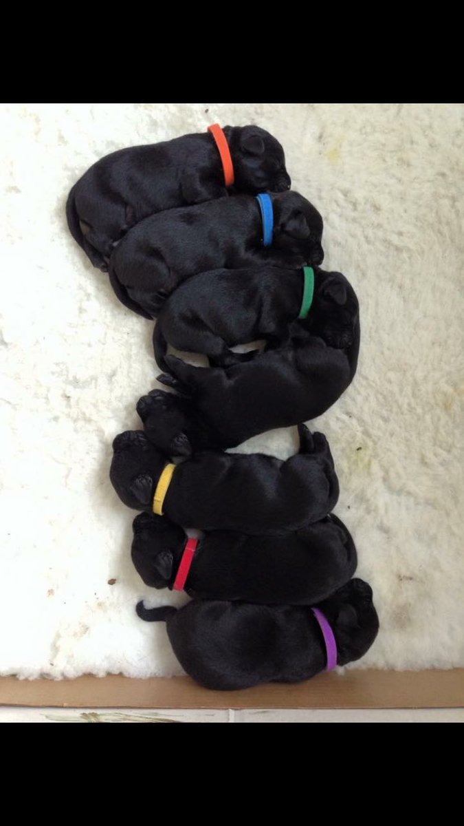 Two years ago today!
🔶💙💚💕💛❤️💜