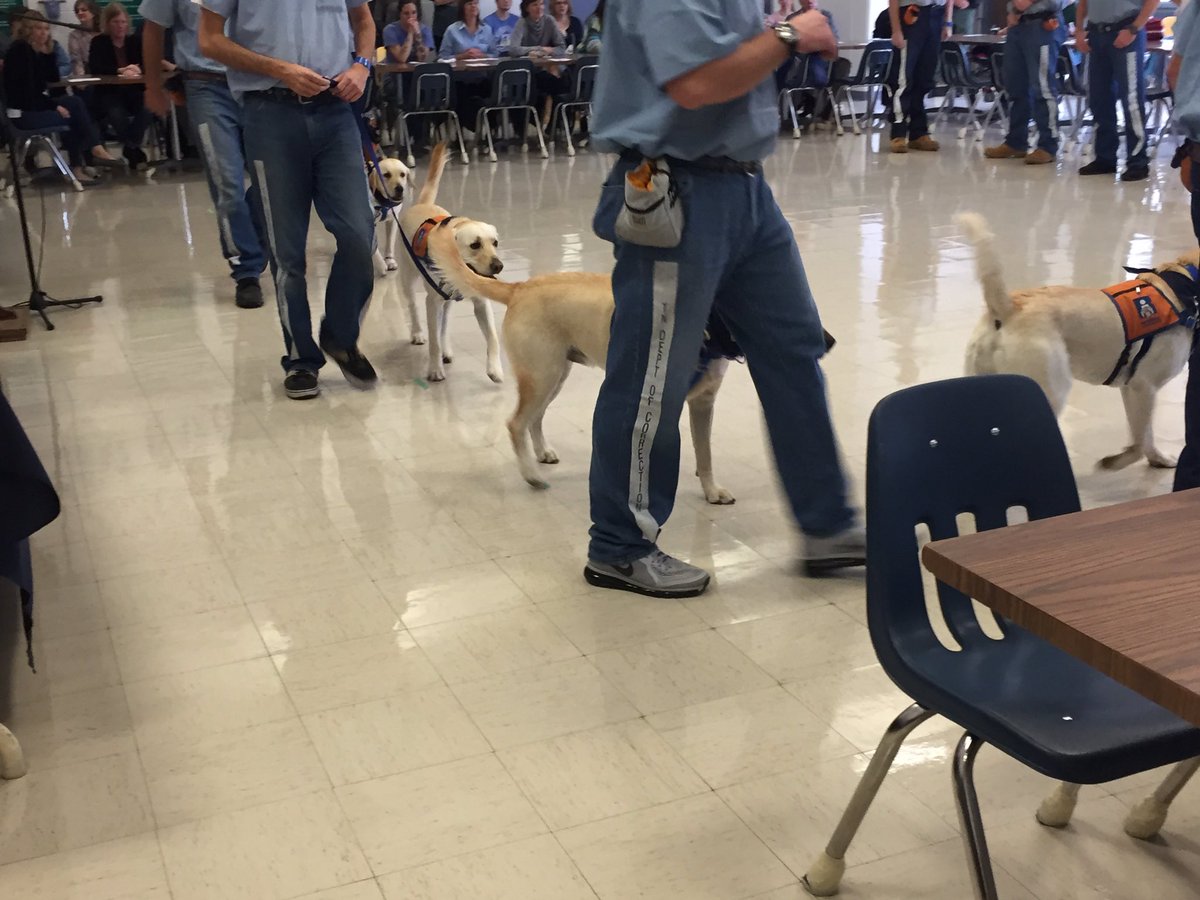TNTDOC1's tweet photo. Trainers show off the skills the dogs have learned during training during the #RetrievingIndependence graduation. https://t.co/K4hwdTxlaD