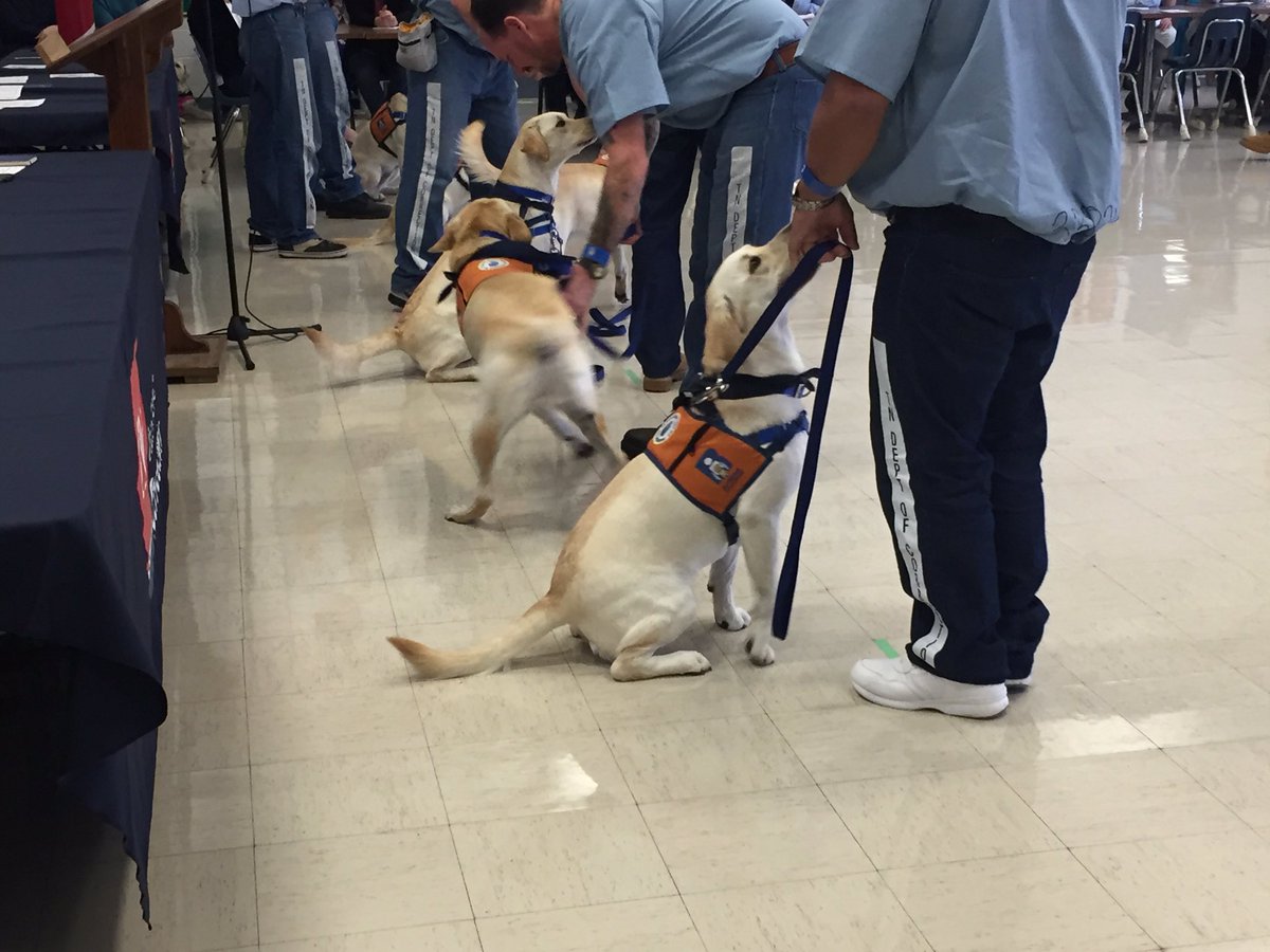 TNTDOC1's tweet photo. Skill demonstration at the #RetrievingIndependence graduation https://t.co/N4b2dxSt8t