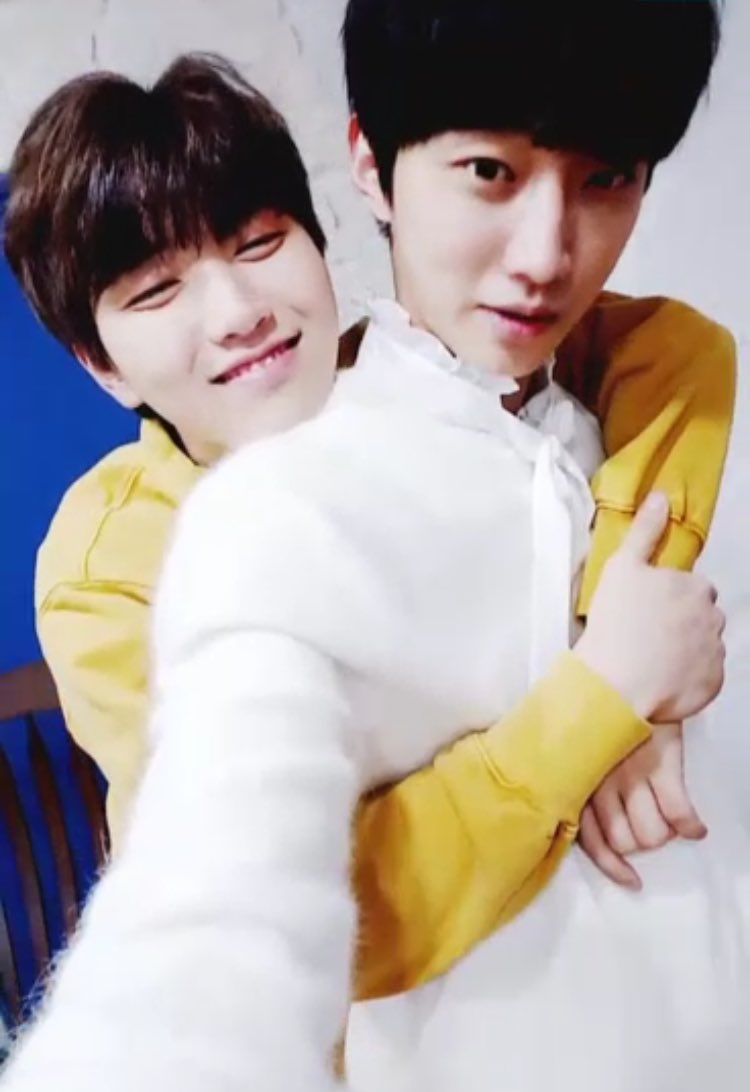SD920320B's tweet photo. 🐥🐺 https://t.co/43WrM4QCs0