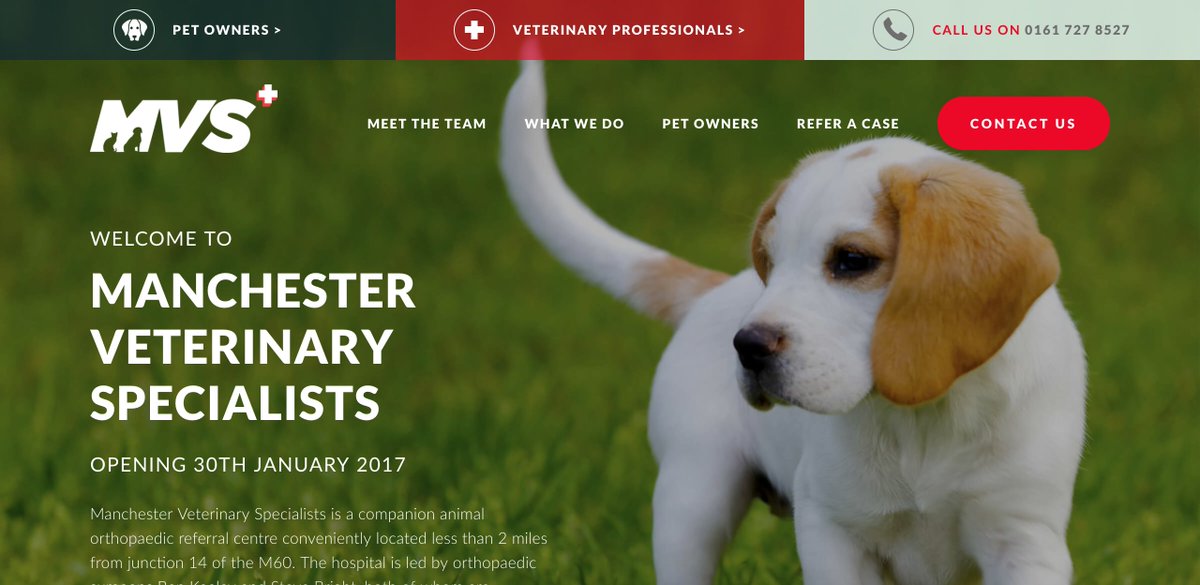 DanClicky's tweet image. Animal lovers, take a look at the new website we've just launched for @mvs_manchester // mvsvets.co.uk 🐶 🐈 🐰