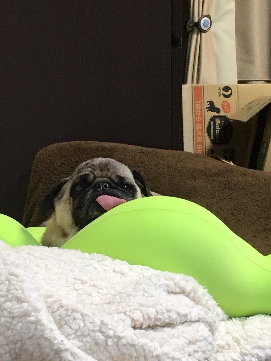 nobutooth's tweet photo. いやー久々の挫折や笑
ほんま本気でやらんとシャレならん😑 https://t.co/cKhkP6Aovp