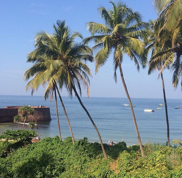 Patel__'s tweet photo. Goa.🌞🇮🇳 https://t.co/3RpmbZ1dA2