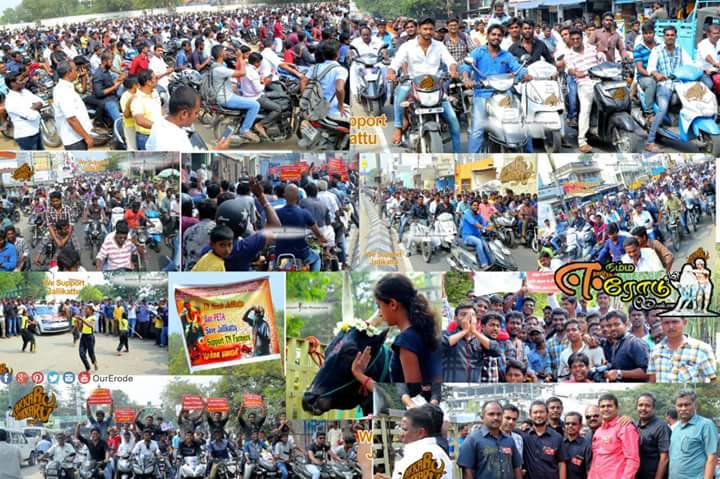 OurErode's tweet photo. Jallikattu protest in Erode
#weneedjallikattu #TnNeedsjallikattu #wesupportjallikattu #erode #nammaerode #ourerode https://t.co/rTLRWOqfJW