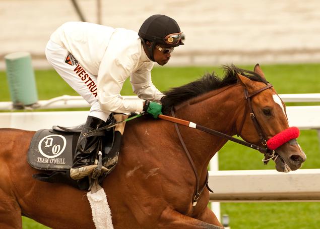 ParentingTipz's tweet photo. Used to love going to the horses, but they told me I couldn't enter my 3 year old son because the jockeys are "adults"! What a crock of shit https://t.co/gKnc3HobRo
