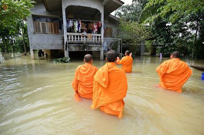 Insight วงการพุทธ tweet media