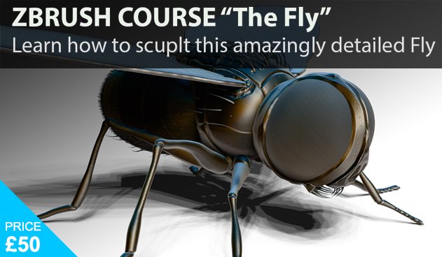 ukonlinetrainer's tweet photo. New course: Releasing very soon - Zbrush Sculpting a Fly watch out for promotional offer coming soon! #Zbrush #Pixelogi #Training #Learn https://t.co/72mWQElPUR