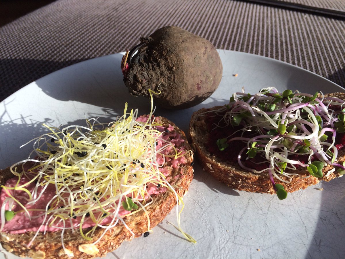 _EPCB_'s tweet photo. Lekker lunchen met broodje bietenspread met hazelnoot en jonge radijs scheuten. En een met Hoemoes rode biet en prei spruiten #genieten #ddo https://t.co/EGsmaLIN4W