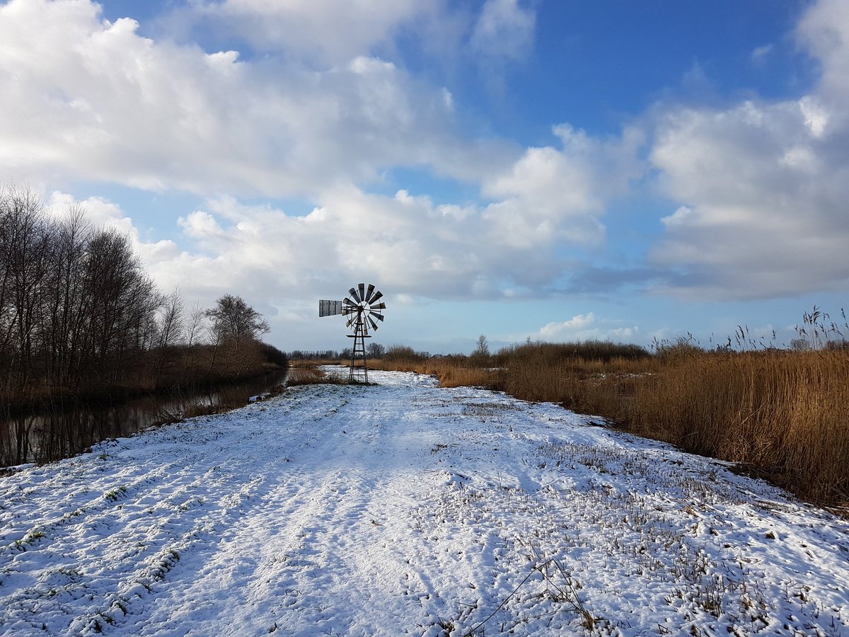 Brandemeerhuis's tweet photo. #winter in #friesland! Heerlijke #wandeling in het #natuurgebied achter ons #vakantiehuisje. #genieten #sneeuw #rust #natuur #dierensporen https://t.co/k95uaEGxMF