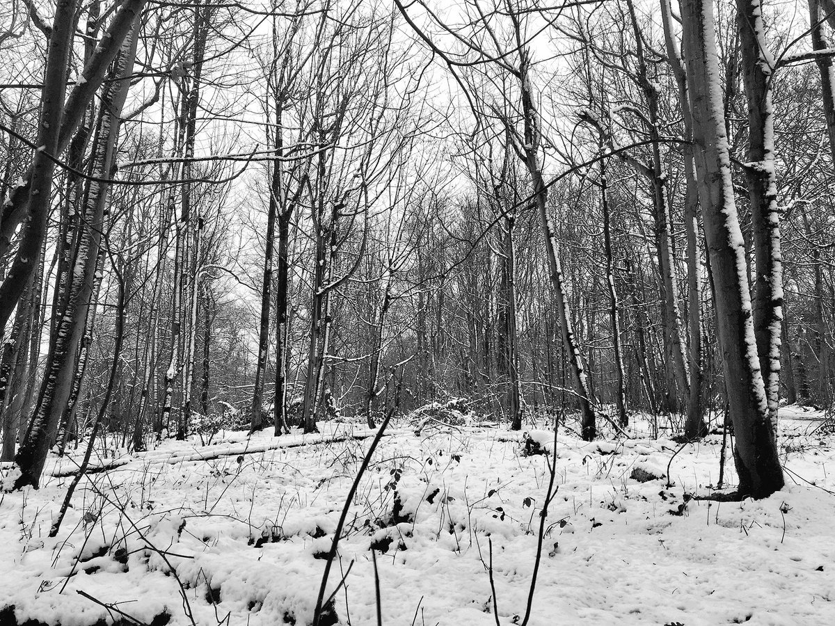 smokeyface94's tweet photo. Walking out in this today, nicely toasted inside whist chilly on the outside 👍🏻🙂 made more awesome by amazing company #baked #perfectmorning https://t.co/638hiNCjZ7