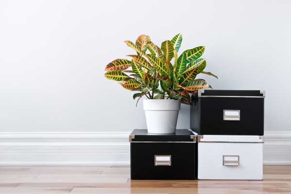 Beehive Self Storage tweet media