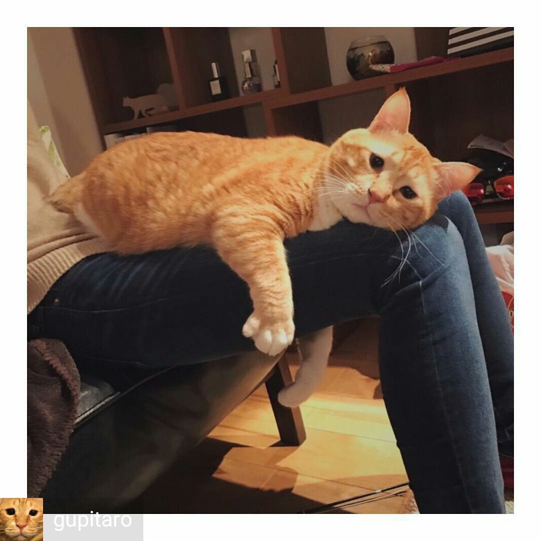 Bulu Bulu Kehidupan On Twitter Bila Dapat Tahu Crush Dah Ada Bae