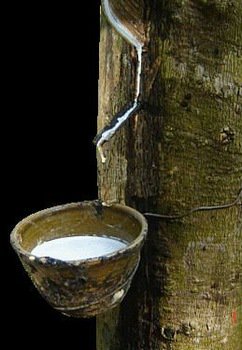 Global #Concentrated #Latex Market Research Report 2016 @ grandresearchstore.com/food-and-bever…