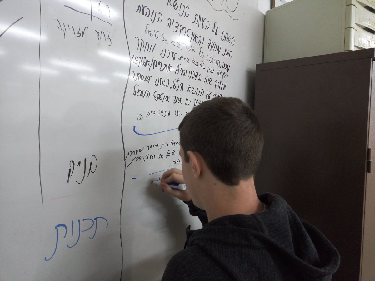 working on the research project!