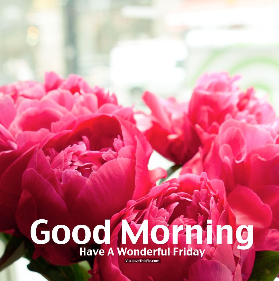 ViolaBAC's tweet photo. Happy Friday 
https://t.co/eO7ActrFaG https://t.co/bAn2GugzF8