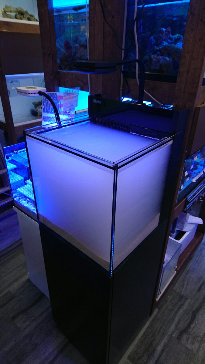 Uzivatel 海水魚ショップ ナチュラル Na Twitteru 年末から計画していた Redsea Max Nano の展示を本日より開始しました 背面濾過 Led付きのオールインワン45 水槽です 今回はreeferとは逆のブラックキャビモデルを選択しましたが高級感があってなかなか良い感じ Uzivatel 海水魚ショップ ナチュラル Na Twitteru 年末から計画していた Redsea Max Nano の展示を本日より開始しました 背面濾過 Led付きのオールインワン45 水槽です 今回はreeferとは逆のブラックキャビモデルを選択しましたが高級感があってなかなか良い感じ
