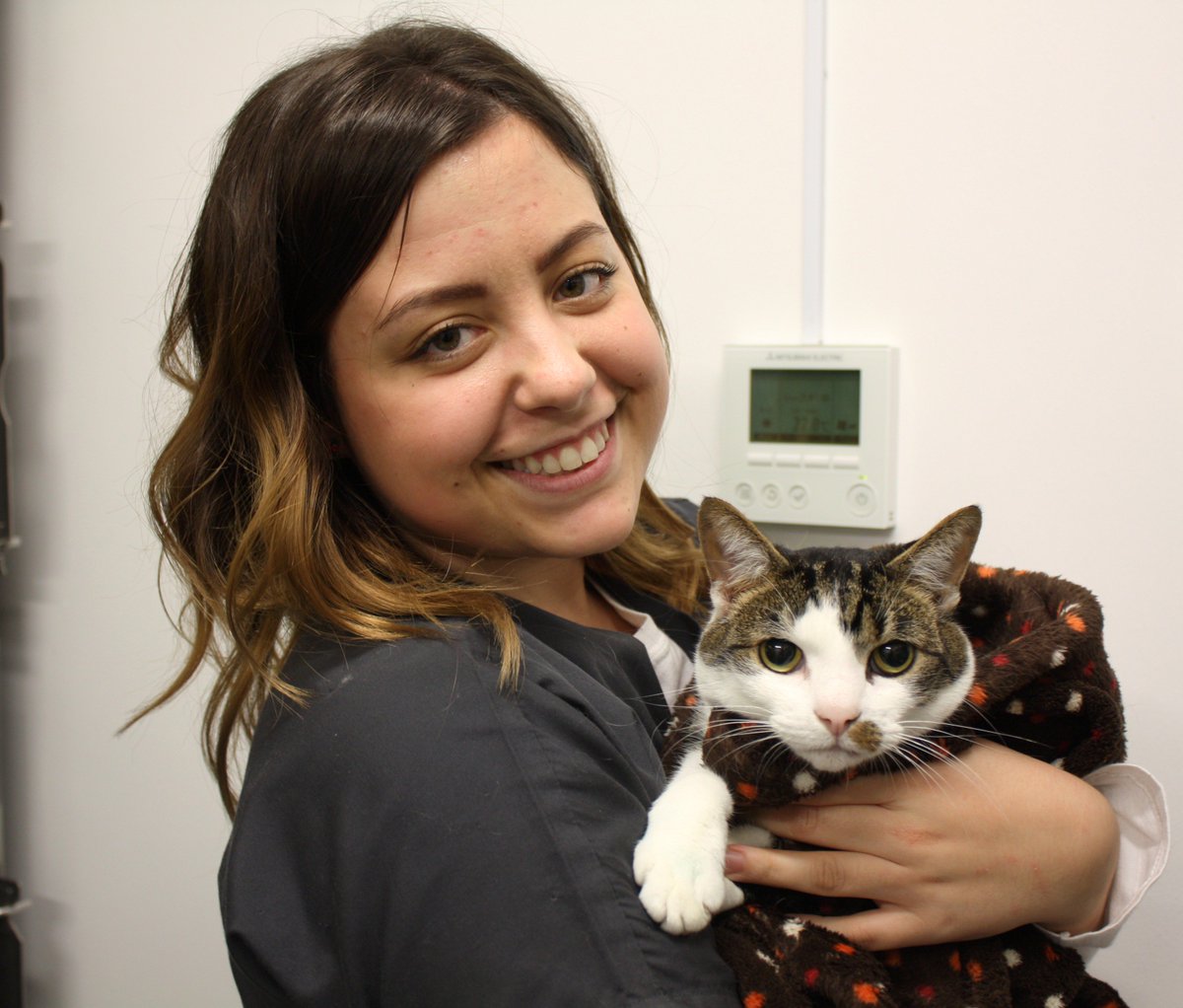 Vets Klinic tweet media