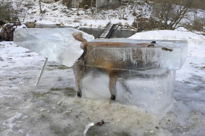 View image on Twitter View image on Twitter