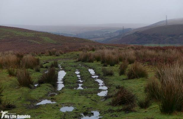 SW Wales Birds (@walesbirds) on Twitter photo A damp start to #pwc2017 new on my blog. Fancy a read? ow.ly/bZcS100yE0k <a href="/PatchBirding/">Patchwork Challenge</a> A damp start to #pwc2017 new on my blog. Fancy a read? ow.ly/bZcS100yE0k <a href="/PatchBirding/">Patchwork Challenge</a>