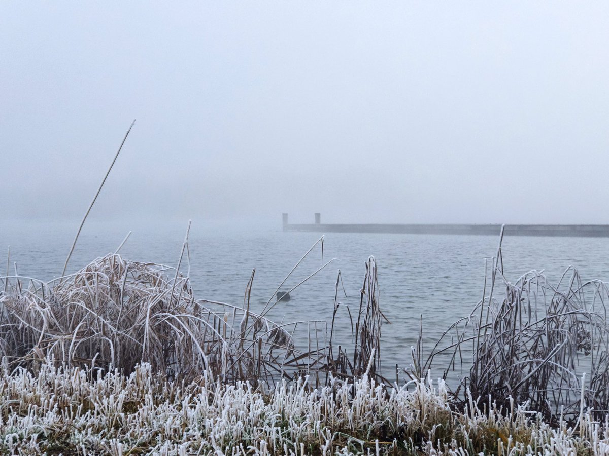 _basic_pixels's tweet photo. Foggy... #CameraPixels #BasicPixels #Netherlands #iphoneography https://t.co/NFIsEgiktJ