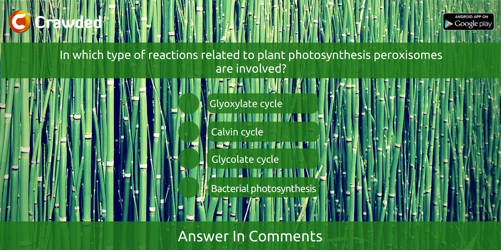 crawdedindia's tweet photo. This might be difficult, but try answering it!
https://t.co/CRgv6TUMgM
#Biology #Crawded https://t.co/otPetZev3z