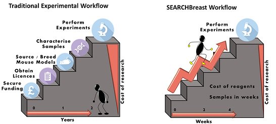 PLOSBiology's tweet photo. Sharing surplus animal material "makes economic, ethical, and academic sense" - the SEARCH framework #PLOSBiology https://t.co/GqsUtHD0yI https://t.co/doNLUapyF2