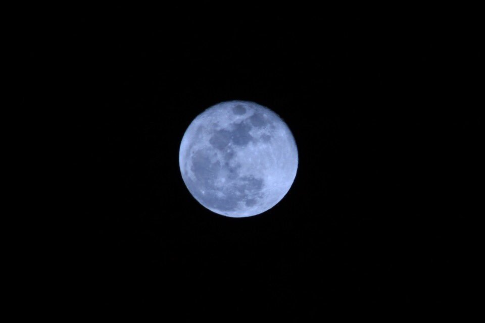ysds99's tweet image. 『青い月』今日もお疲れ様でした。
#写真好きな人と繋がりたい
#ファインダー越しの私の世界 #ふぉと