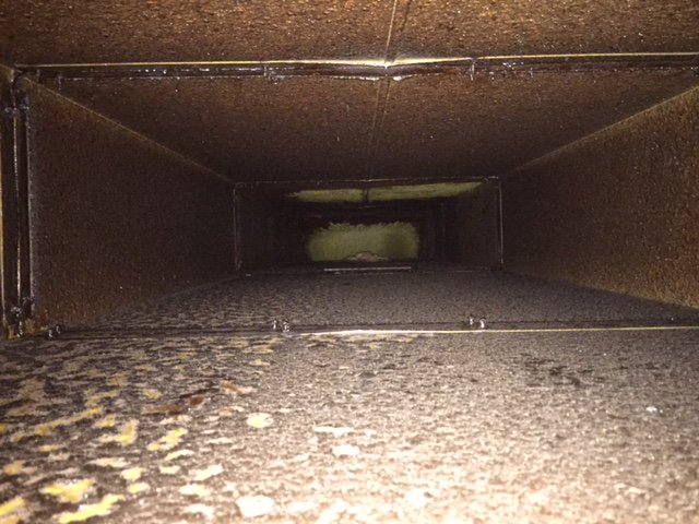 PSUKTweets's tweet image. #Innerclean @ShorrockTrichem 01942872137 removing the grease that causes fires #FiresSafety #Manchester #Lancashire #Wilmslow #Altincham